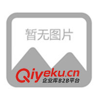 中修廣東發(fā)電機，中修廣東發(fā)電機組，康明斯(圖)